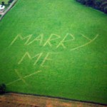 Grass Proposal