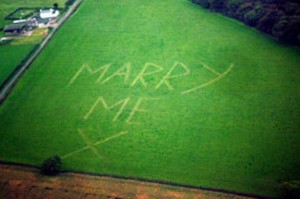 Grass Proposal