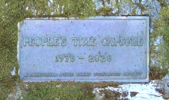 Time Capsule Marriage Proposal